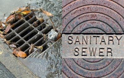 Storm vs. Sanitary: Key Differences in Pipe Inspection