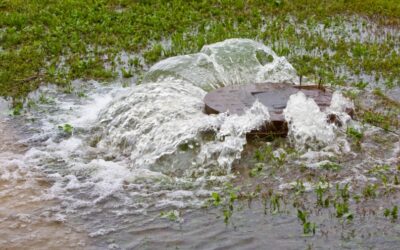 SSO Emergency Response: What Separates a Compliant Reaction From an Effective One